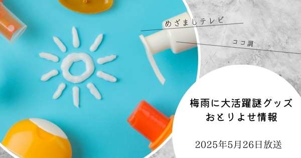 【めざましテレビ】梅雨に大活躍謎グッズ お弁当用扇風機 粗熱取り スリコ消臭剤カバー 靴の消臭 STTA